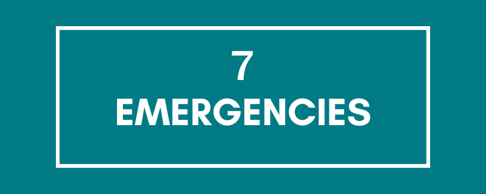 Challenge #7: Emergencies