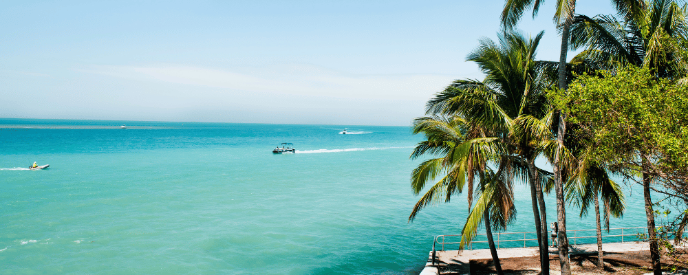 view of florida keys ocean and palm trees