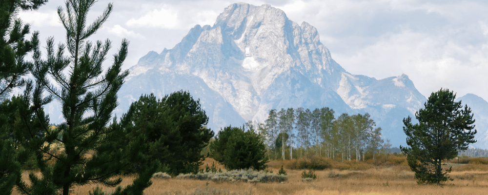 mountain range in jackson hole wyoming