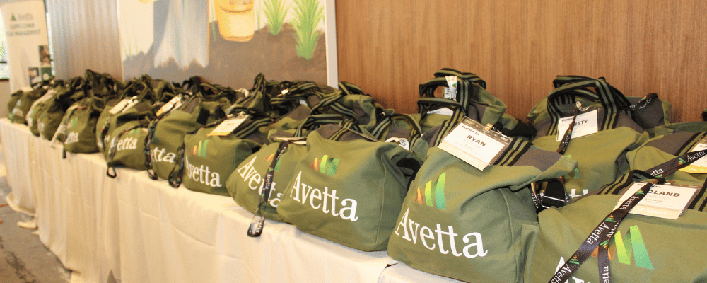 corporate conference swag bags 