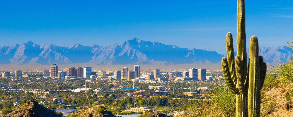 city skyline of phoenix, Arizona with cactus