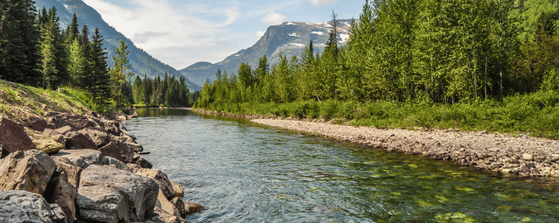 River in montana with trees surrounding and mountains in the back