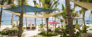 beach front with canopys chairs and palm trees