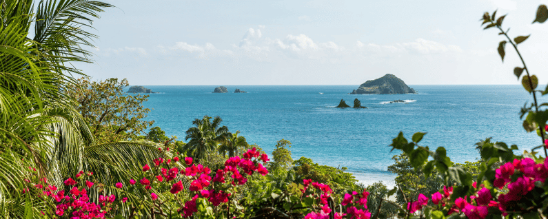 beach view with flowers and trees