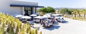 cabo corporate event