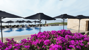 cabo pool and beach view with flowers