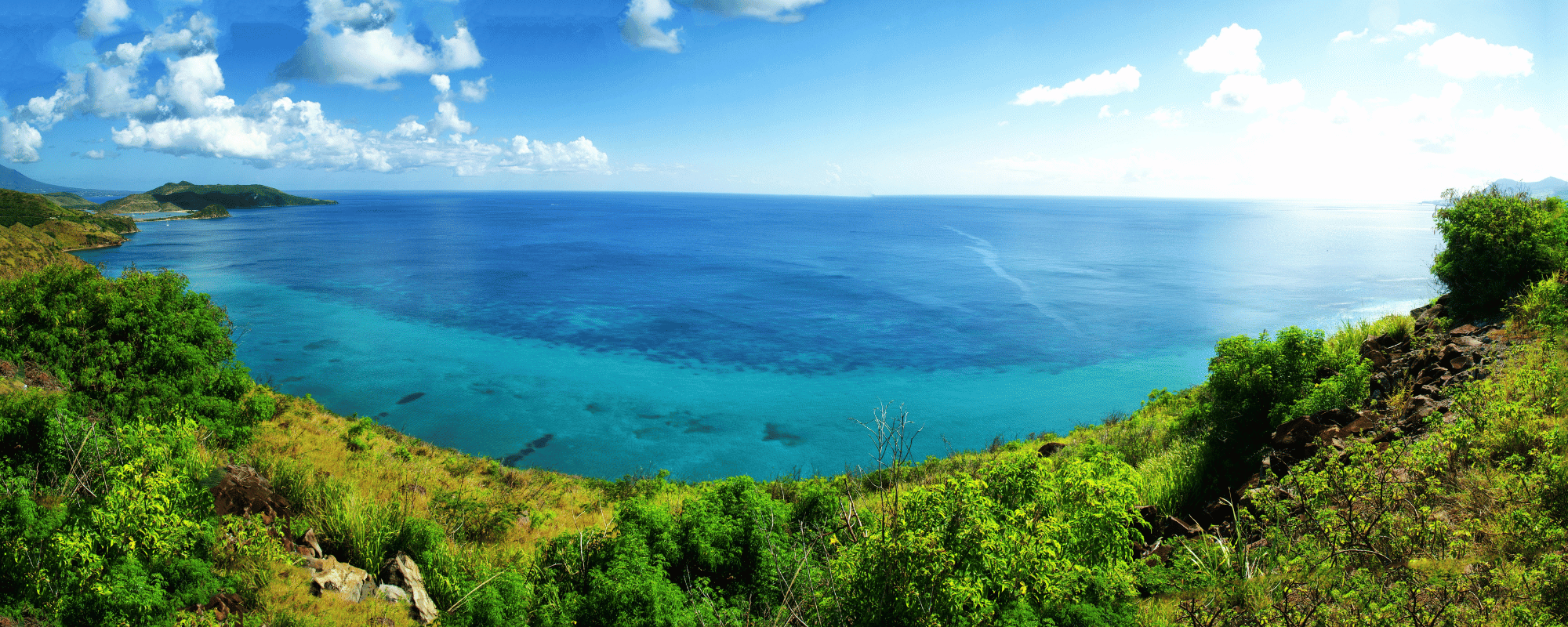 ocean and lush vegetation in the caribbean