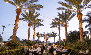 carlsbad incentive trip