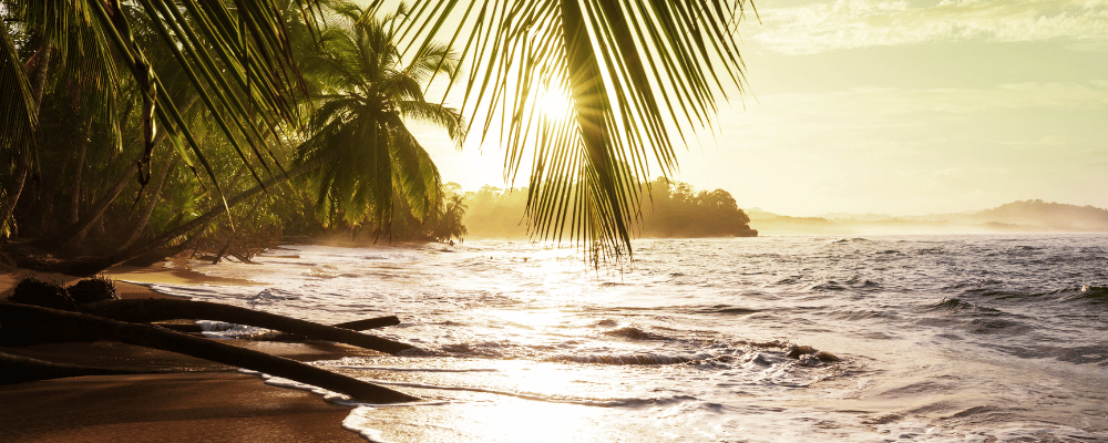 sandy beach in costa rica at sunset with palm trees