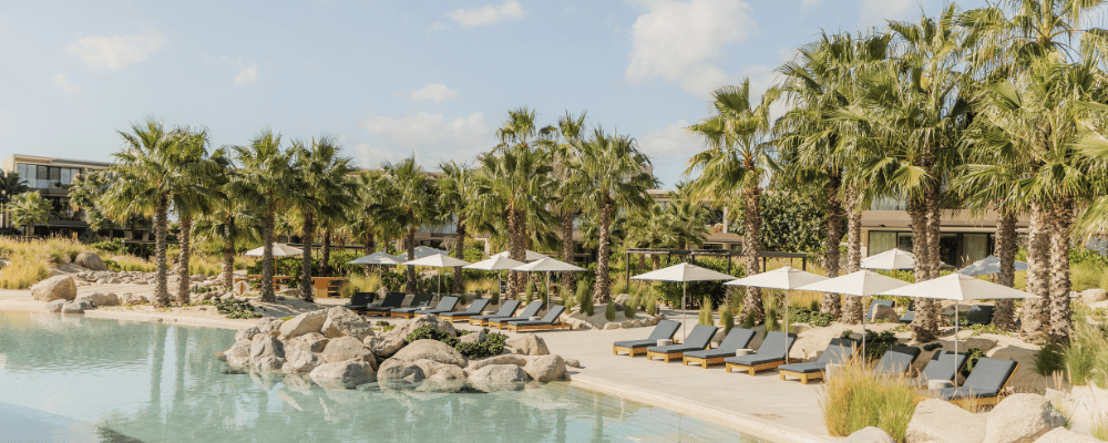 incentive trip venue in Mexico with palm trees and pools