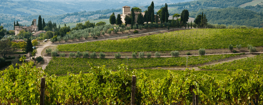 rolling green hills and rustic winery in tuscany italy