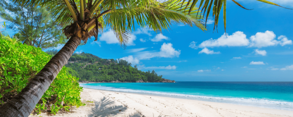 new all-inclusive resorts in Jamaica