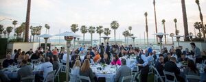 outdoor dinner with palm trees and round tables filled