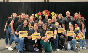 straybootswebsite header