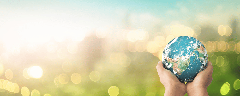 person holding globe