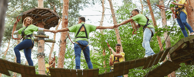 team building course in the trees
