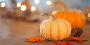 pumpkin at thanksgiving