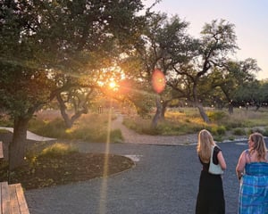trees with sunset peaking through outside in Texas